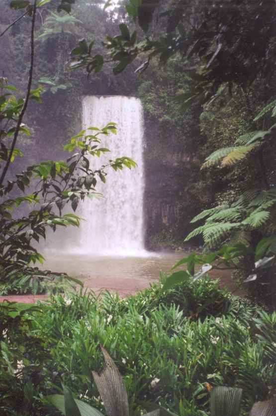 Millaa Millaa Falls