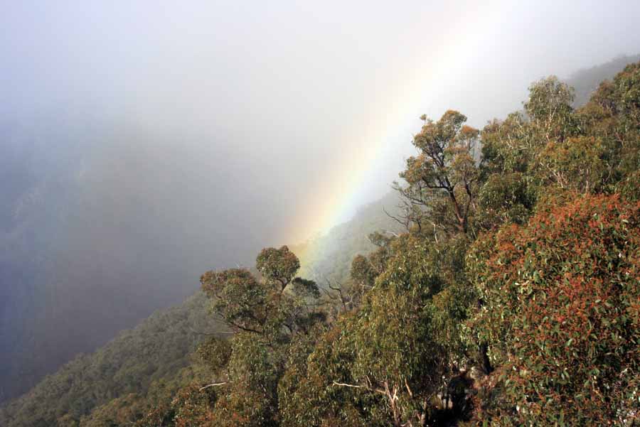 The view from the top 2012