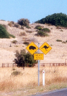 Beware Koalas and Kangaroos