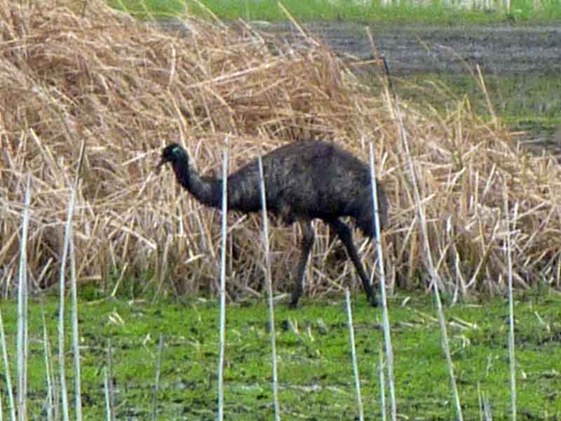 Tower Hill Game Reserve