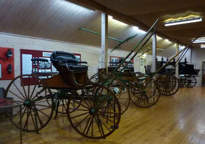Horse drawn Buggies