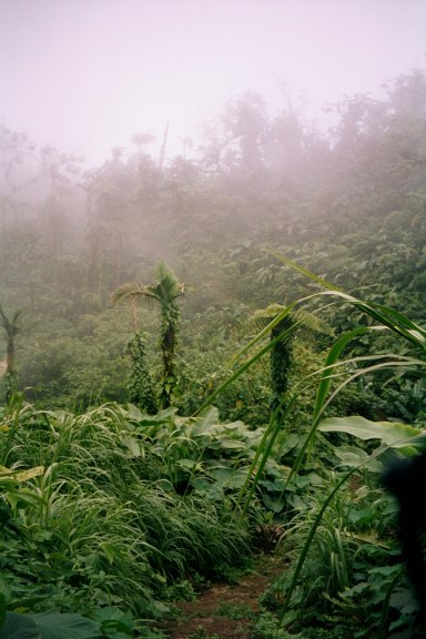 Mt. Scenery, Saba