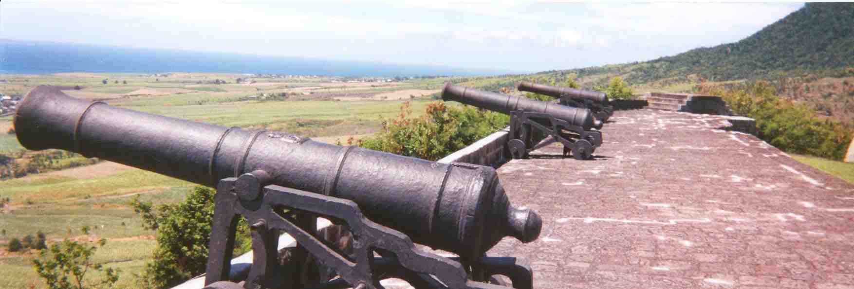 Cannons