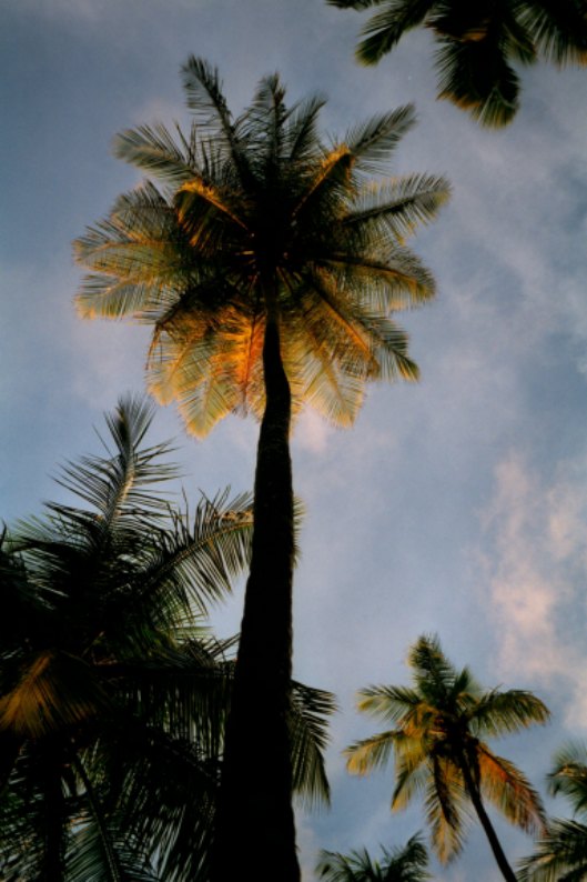 Pigeon Point, Tobago