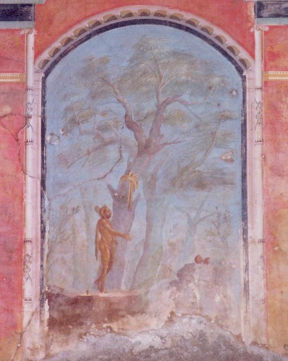 Wall Paintings in the Calidarium