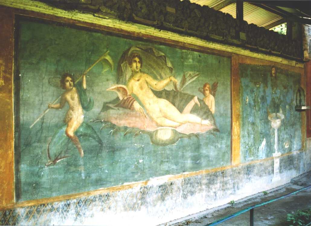 Venus in a sea-shell