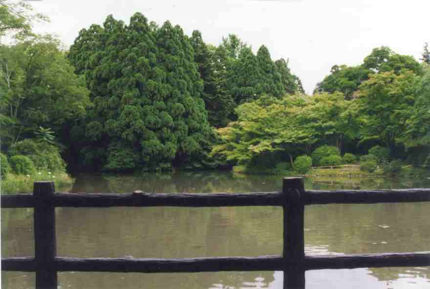 Scenes of the garden