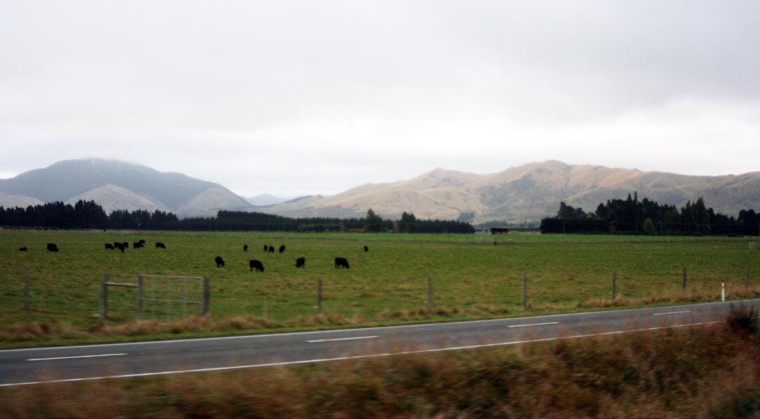 Canterbury Plains