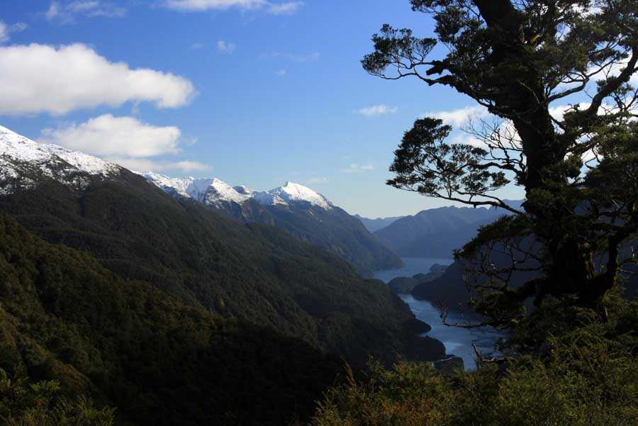 Doubtful Sound from the shore