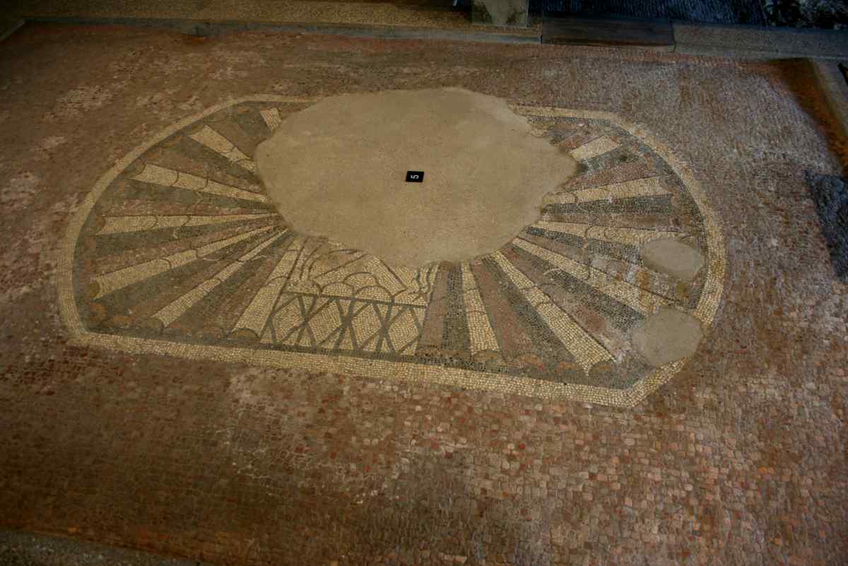 Shell pattern mosaic