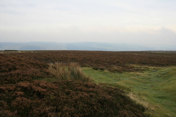 North York Moors above Rosedale, Yorkshire