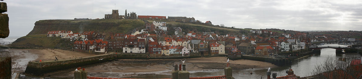 Whitby from the North