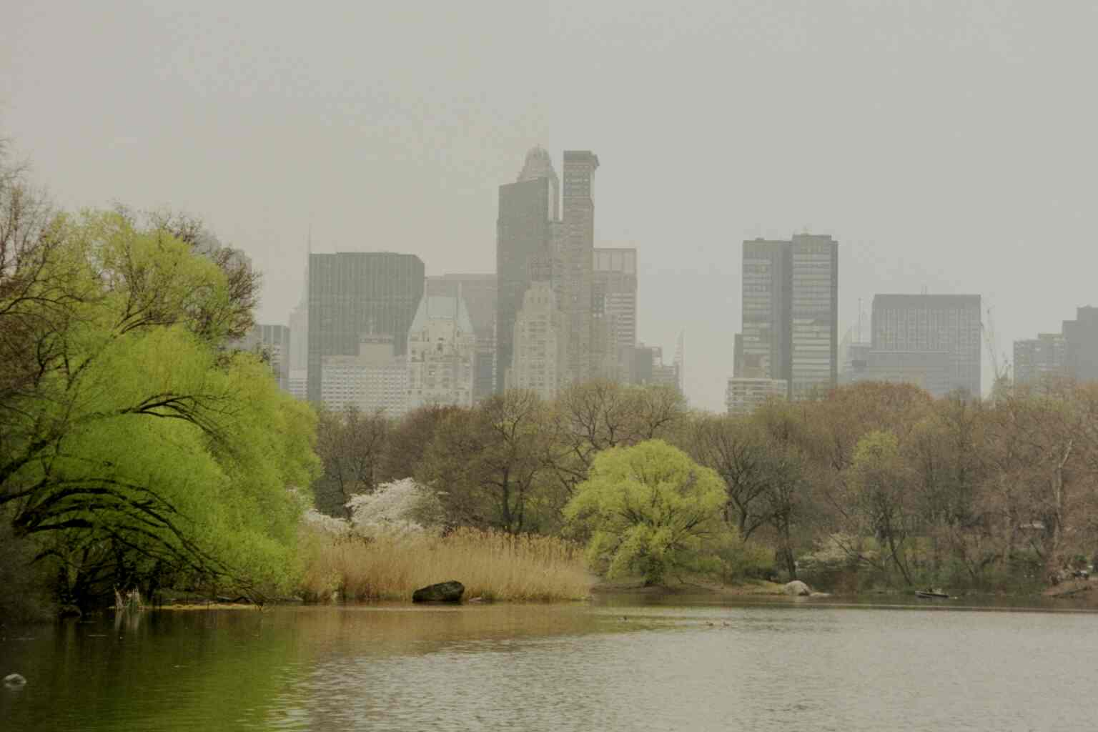 Central park in Spring looking South