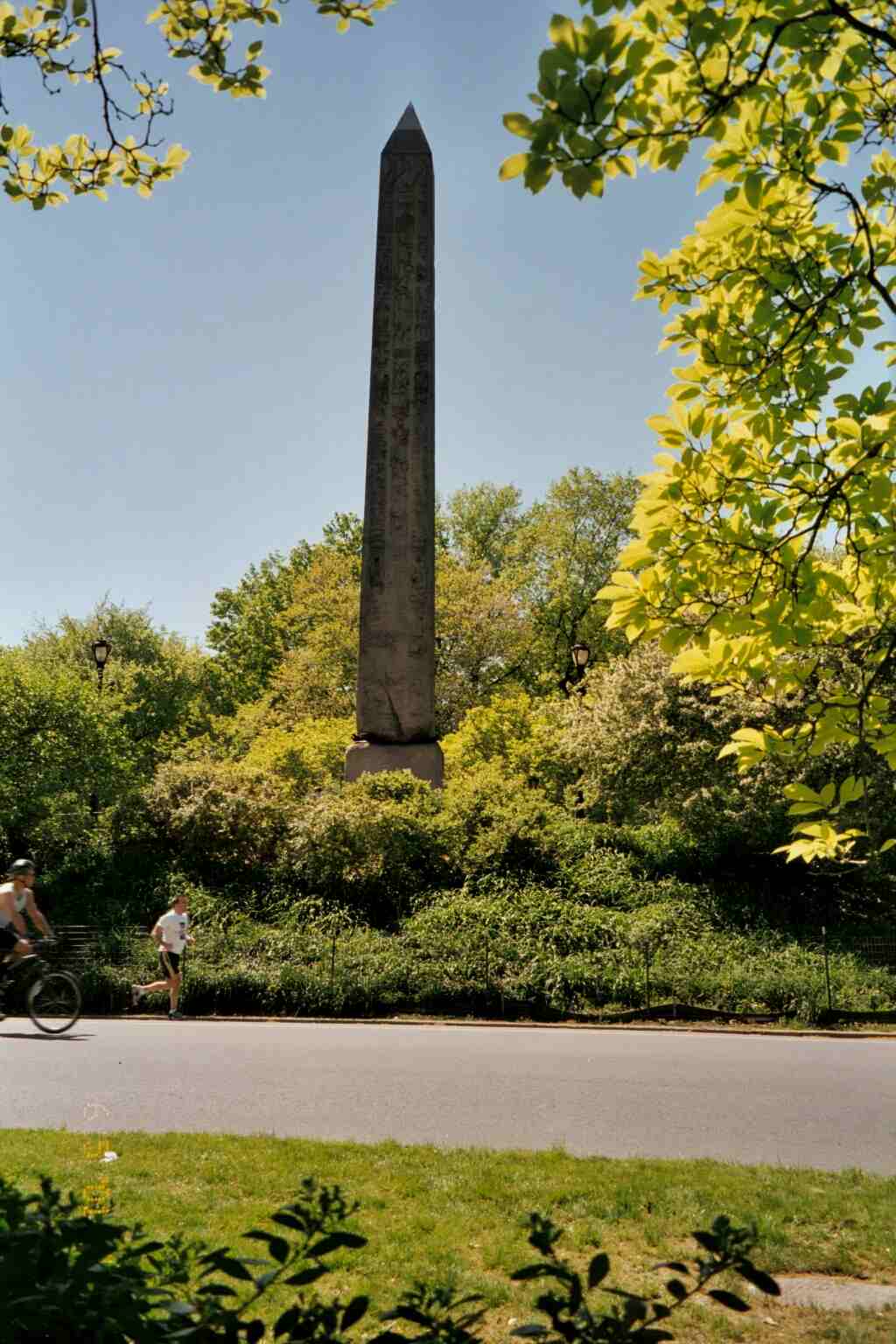 The Needle in the Park