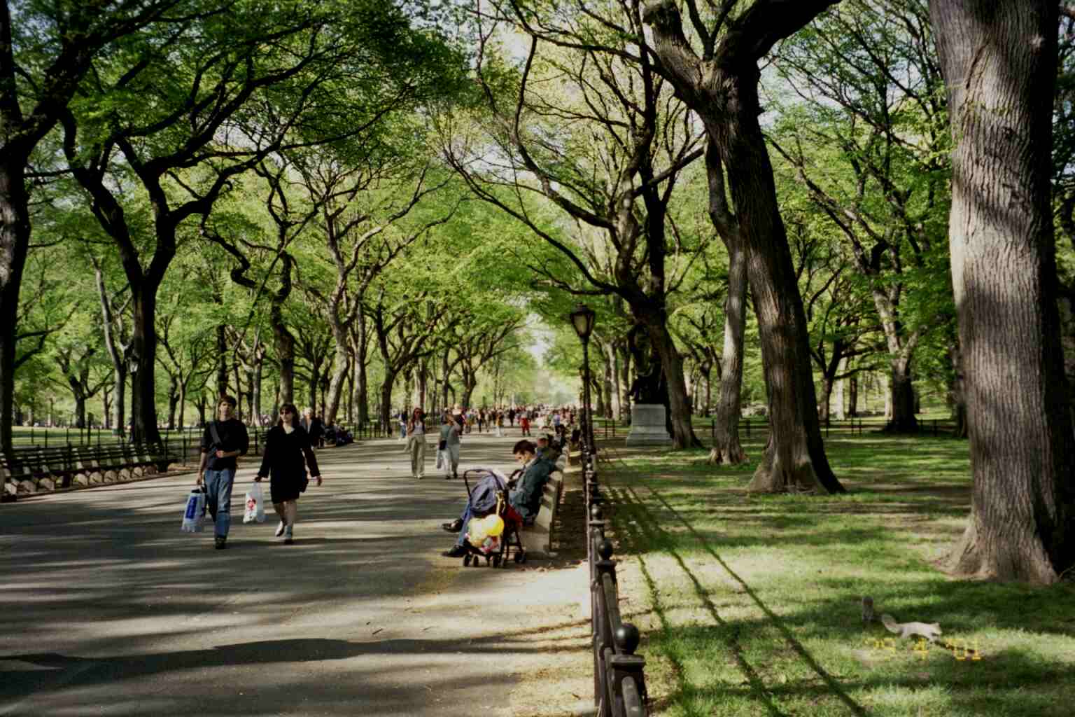 The main walkway in the Park