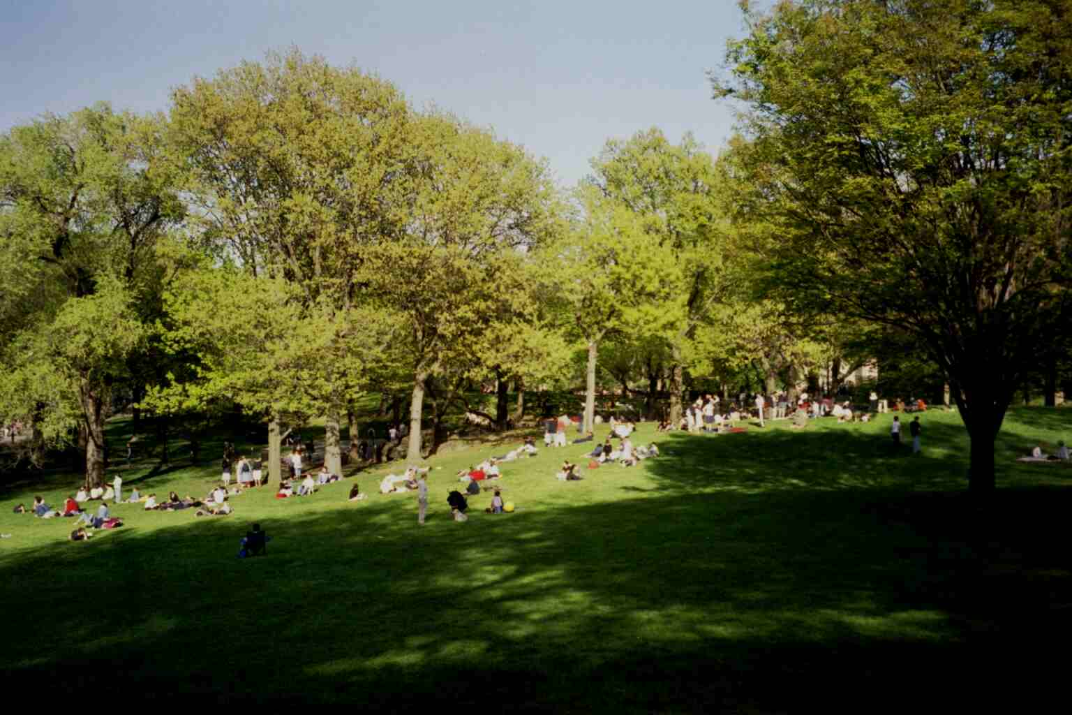 People in the Park