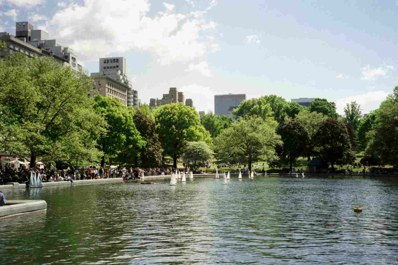 The Boating Lake in Summer