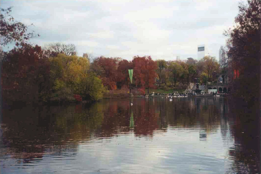 The Lake in Central Park