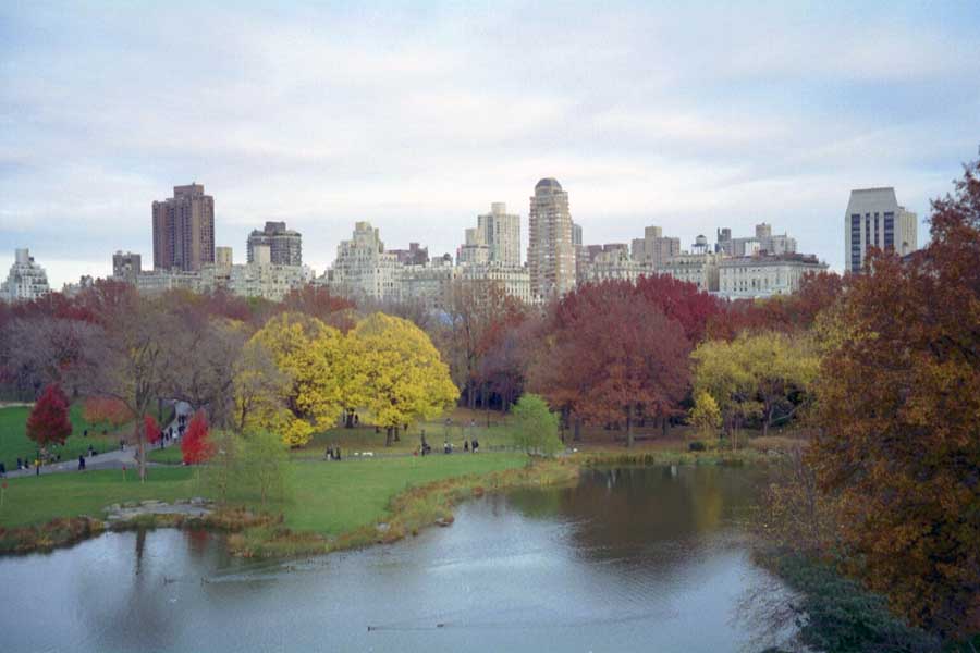 Central park looking South West