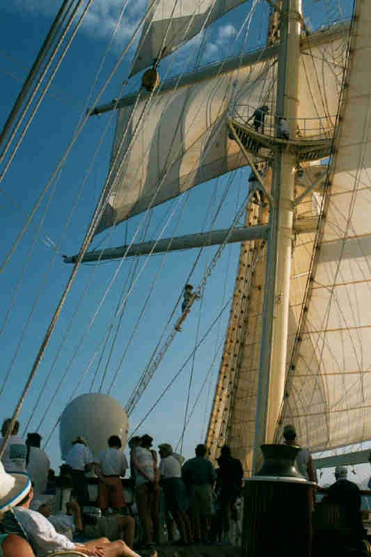 Climbing the Mast